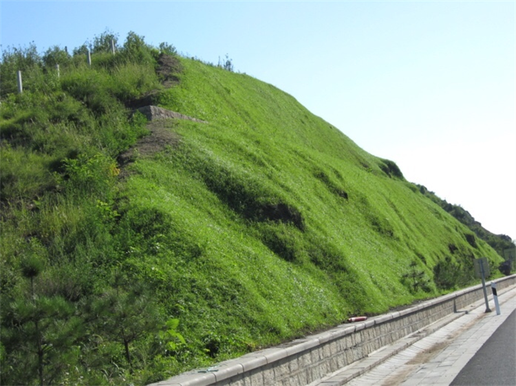 慶陽高強(qiáng)加筋毯 加筋抗沖生態(tài)毯 高速公路邊坡綠化