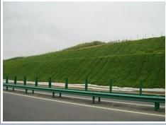 公路邊坡綠化|歌潤高速公路邊坡綠化產(chǎn)品圖片,公路邊坡綠化|歌潤高速公路邊坡綠化產(chǎn)品相冊